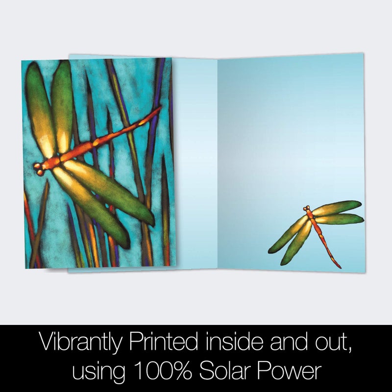 Tree-Free Greetings - All Occasion Cards - Artful Designs - 12 Greeting Cards + White Envelopes - Made in USA - 100% Recycled Paper - 4 x 6 - Beautiful Dragonfly (FS66501) - Image 3